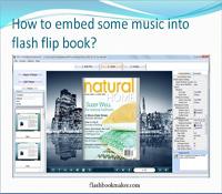 embed some music into flash flip book