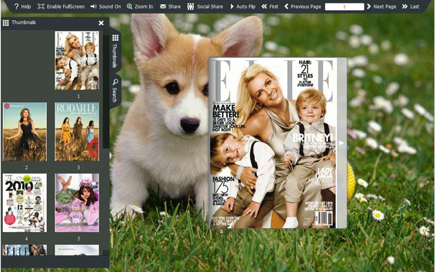 flash book template screenshot1