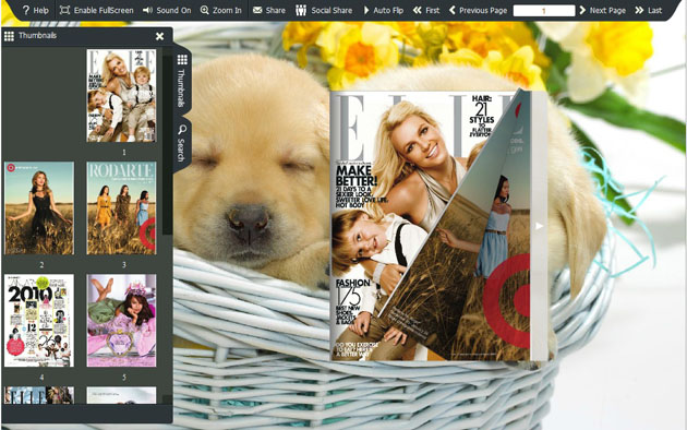 flash book template screenshot3