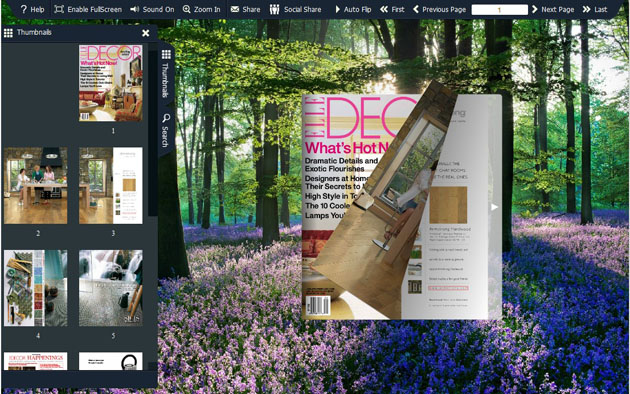 flash book template screenshot1