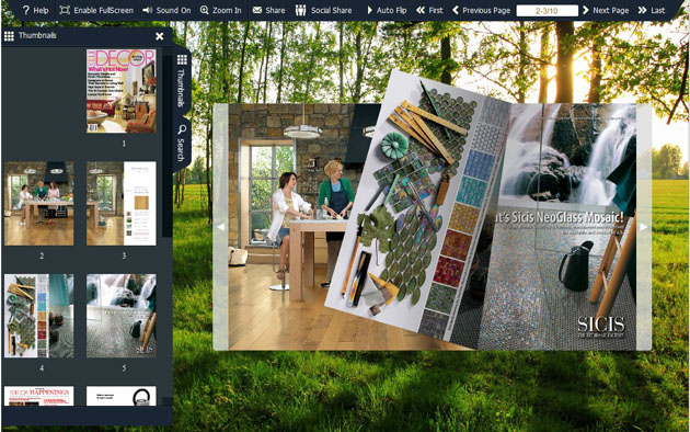 flash book template screenshot3