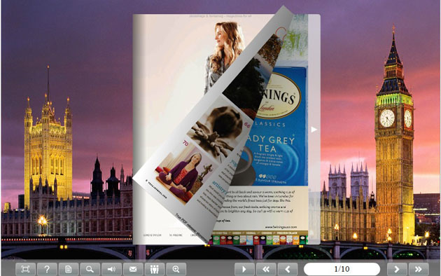 flash book template screenshot1